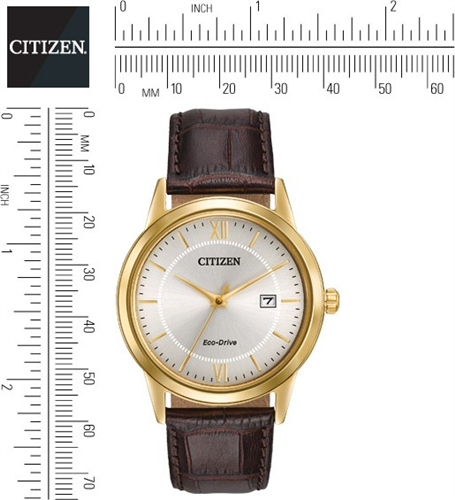 citizen-men-s-eco-drive-gold-tone-watch-40mm1